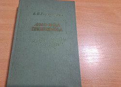 B. P. Gorodeckij: Lyrika Puškina