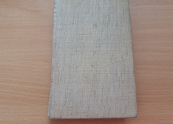 Ivan Jefremov: Hodina býka