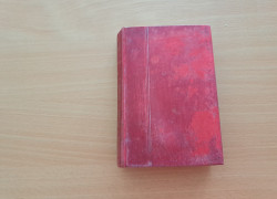 Maxim Gorkij: Az anya