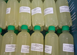 Predám kyslú kapustu, šťavu z kyslej kapusty a zeleninu