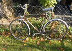 cestný bicykel na fotkách - [25.10. 2025]